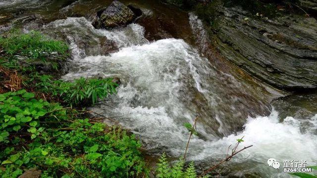 春雨直播app